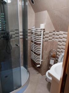a bathroom with a shower and a toilet and a sink at Pokoje u Wojciecha in Tylmanowa