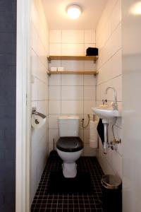 a bathroom with a toilet and a sink at Boerderij de Zalm in Schalkwijk