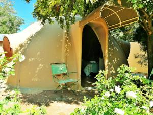 Gallery image of Safari Guesthouse in Vryburg