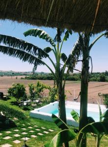 un complexe avec une piscine et un palmier dans l'établissement El Lagar de los Abuelos, à Arcos de la Frontera