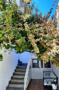 een boom met roze bloemen voor een trap bij Hostal Costa in Ibiza-stad