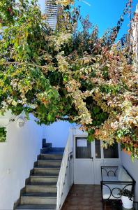 a tree with pink flowers in front of a staircase at Hostal Costa in Ibiza Town