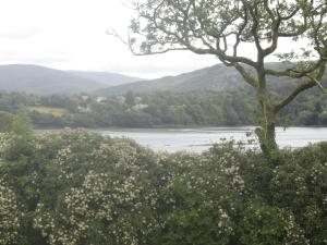 Fotografie z fotogalerie ubytování AbbeyCourt Kenmare Kerry v destinaci Kenmare