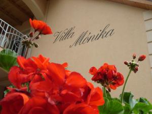 een groep rode bloemen voor een bord bij Villa Mónika in Keszthely