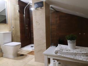 a bathroom with a toilet and a glass shower at Antigua Ventanas del Cielo, BAJA in Ávila +58 photos