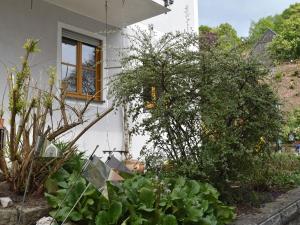 Zahrada ubytování Apartment in Tännesberg near Goldsteig Trail