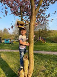 Фотография из галереи Die Hardtmühle в городе Bergfreiheit