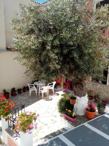 a tree in a courtyard with chairs and flowers at Αrgo Studios in Pythagoreio
