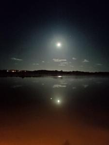 Gallery image of Paradise Container Glamping in Florianópolis