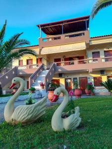 two swans in the grass in front of a building at Mιχαλης Apartments in Paramythia