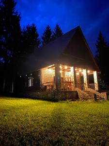 a cabin lit up at night with lights at Lake House in Izvoru Mureşului