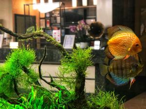 Φωτογραφία από το άλμπουμ του Hotel Tecadra στο Βουκουρέστι