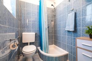 a bathroom with a toilet and a shower at Apartment Muzic in Mali Lošinj
