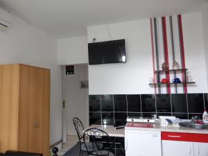 Kuchyň nebo kuchyňský kout v ubytování Apartment Harmonija apatin