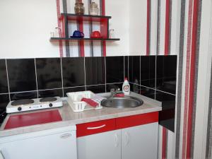 Kuchyň nebo kuchyňský kout v ubytování Apartment Harmonija apatin
