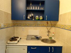 Kuchyň nebo kuchyňský kout v ubytování Apartment Harmonija apatin