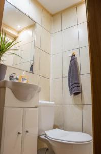 een badkamer met een toilet, een wastafel en een spiegel bij Gunram Mazury in Okowizna