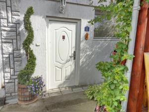 Fotografie z fotogalerie ubytování Apartment Harmonija apatin v destinaci Apatin