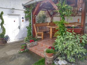 Zahrada ubytování Apartment Harmonija apatin
