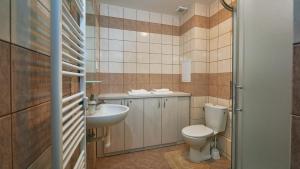 a bathroom with a toilet and a sink at Holiday apartment High Tatras in Tatranská Lomnica