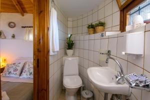 łazienka z toaletą i umywalką w obiekcie Traditional Windmill-Milos w mieście Kroústas
