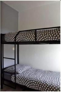 sypialnia z 2 łóżkami piętrowymi w pokoju w obiekcie Appartement Altreichenau w mieście Neureichenau