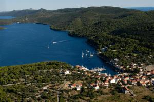 an aerial view of a small island in a lake at Vala in Božava