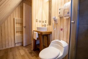a bathroom with a toilet and a sink at Termas de Aguas Calientes in Puyehue
