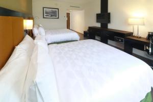 Cette chambre comprend deux lits et une télévision. dans l'établissement Holiday Inn Tampico-Altamira, an IHG Hotel, à Tampico