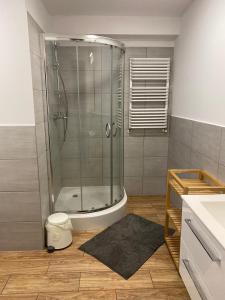 ein Bad mit einer Dusche und einer Glastür in der Unterkunft Apartament CamInSki in Kudowa-Zdrój