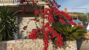 a bunch of red flowers in a stone wall at Luštica Apartments in Luštica