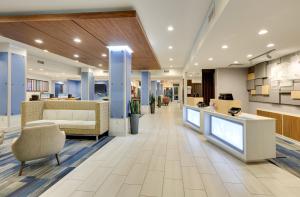Holiday Inn Express & Suites Dallas NW - Farmers Branch, an IHG Hotel tesisinde lobi veya resepsiyon alanı