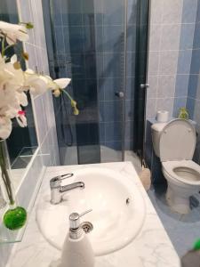 een badkamer met een wastafel en een toilet bij Olsinky in Ústí nad Labem