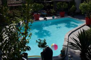 una piscina con plantas en un patio en Inn 4 Bears, en Nimes