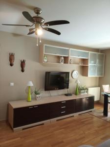 a living room with a tv and a ceiling fan at Sol de Poniente in Salamanca