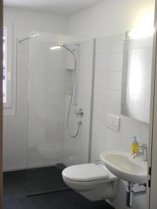 uma casa de banho com um chuveiro, um WC e um lavatório. em BnB 5430 em Wettingen