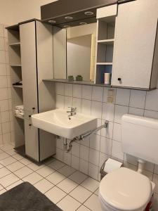 La salle de bains est pourvue de toilettes blanches et d'un lavabo. dans l'établissement Pistenblick, à Willingen