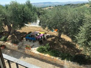 - une vue aérienne sur un jardin avec une table de pique-nique et des arbres dans l'établissement Villa Angiolina, Molise, à Guglionesi