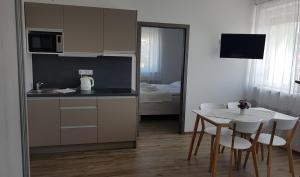 A kitchen or kitchenette at Apartmány Pemag Mikulov