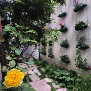 um jardim com flores e plantas numa parede em Pop Bogomil family hotel em Sófia