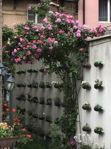 a bunch of flowers in pots on a fence at Pop Bogomil family hotel in Sofia