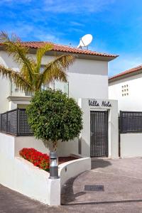 a white building with a gate and a palm tree at Villa Nela in Chayofa