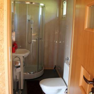 een badkamer met een douche, een toilet en een wastafel bij Eurostruś - zoo, domki in Borzychy