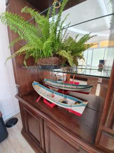 trois bateaux sur une table en bois avec une plante dans l'établissement Pousada Pedra das Tartarugas, à São Francisco do Sul