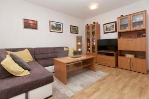 TV a/nebo společenská místnost v ubytování Apartman Nade