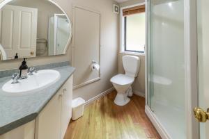 a bathroom with a toilet and a sink and a shower at Fantail Cottage with Sea Views - Akaroa Home in Akaroa +15 photos