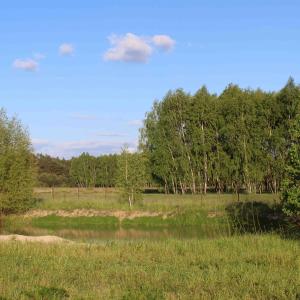 un champ avec un étang planté d'arbres en arrière-plan dans l'établissement Eurostruś - zoo, domki, à Borzychy