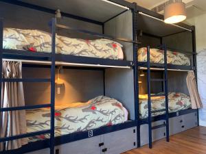 Hostel Fish في دنفر: سريرين بطابقين في غرفة مع غرفة