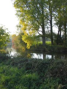 Fotografie z fotogalerie ubytování Hotel-Garni Pfeffermühle v destinaci Emmerthal