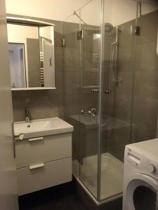W łazience znajduje się prysznic, umywalka i pralka. w obiekcie Appartement Top 7 w Linzu +5 zdjęć